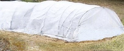 РИС. 17. УКРЫТИЕ НА ЗИМУ ПЛЕТИСТЫХ РОЗ